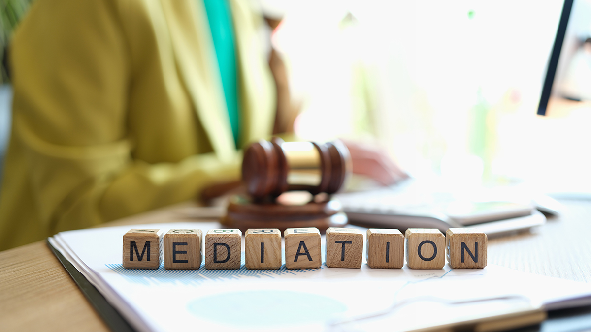 Professional Mediation